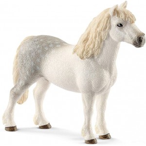 Stallone Welsh Pony -...