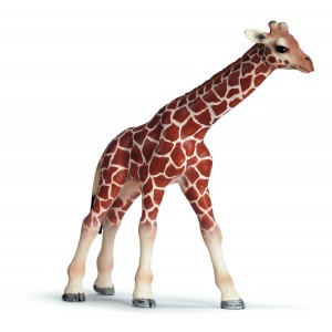 Giraffa il Cucciolo -...