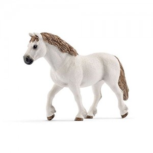 Giumenta Welsh Pony -...